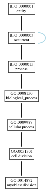Graph of GO:0014872
