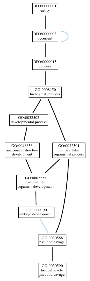 Graph of GO:0030590