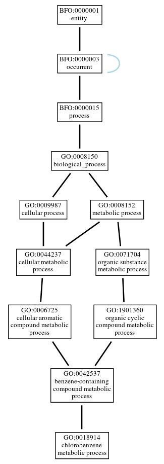 Graph of GO:0018914