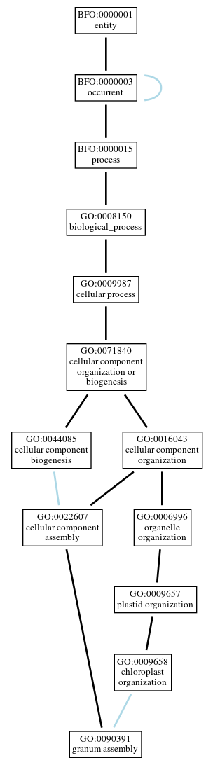 Graph of GO:0090391