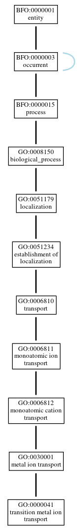 Graph of GO:0000041
