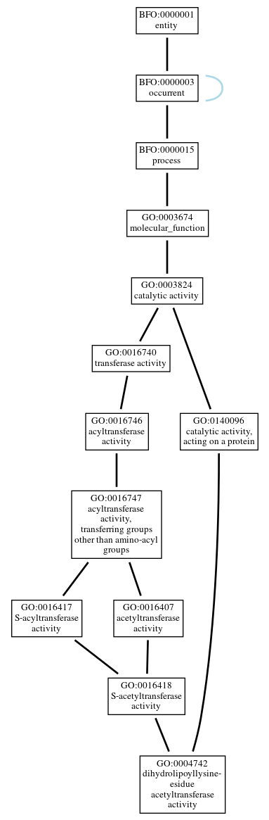 Graph of GO:0004742