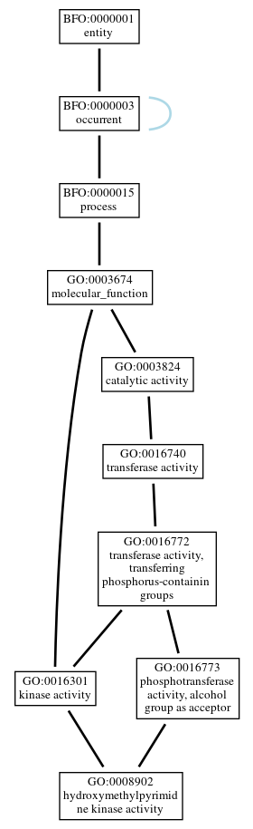 Graph of GO:0008902