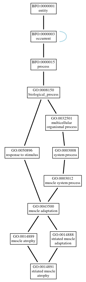 Graph of GO:0014891