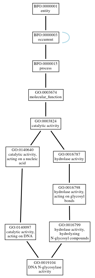 Graph of GO:0019104