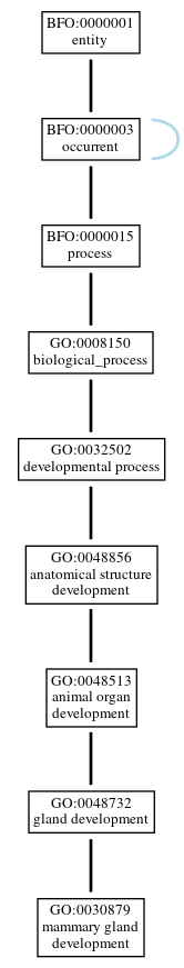 Graph of GO:0030879