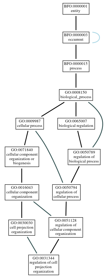 Graph of GO:0031344