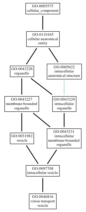 Graph of GO:0046816