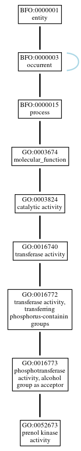 Graph of GO:0052673