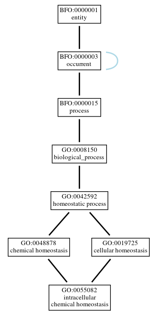 Graph of GO:0055082