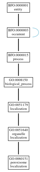 Graph of GO:0060151