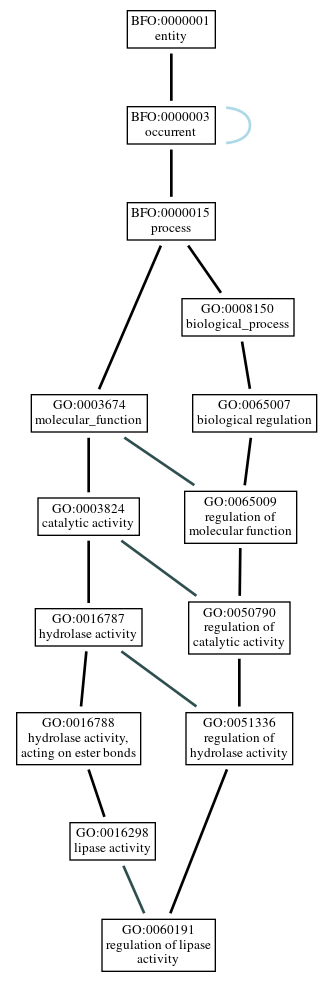 Graph of GO:0060191