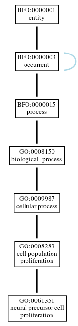Graph of GO:0061351