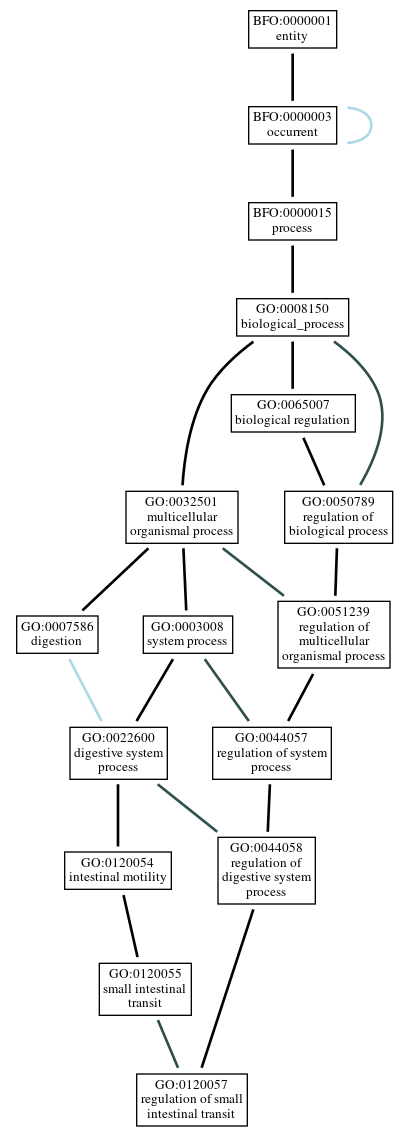 Graph of GO:0120057