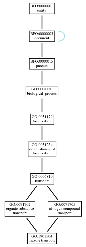 Graph of GO:1901504