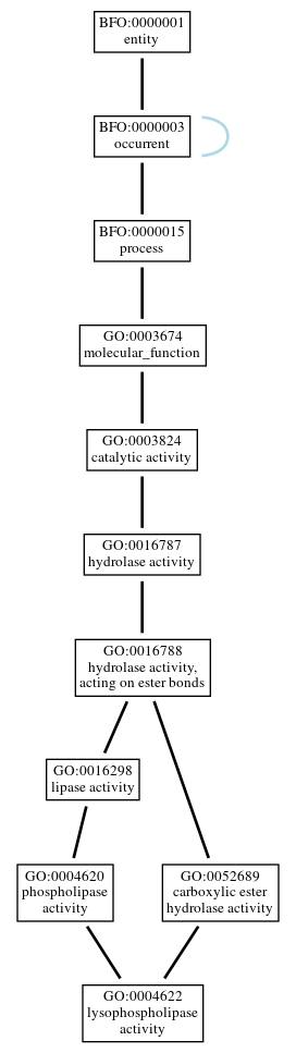 Graph of GO:0004622