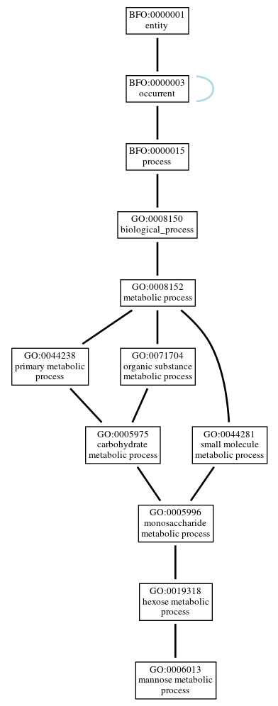 Graph of GO:0006013