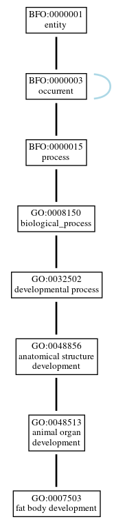 Graph of GO:0007503