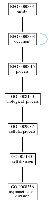 Graph of GO:0008356