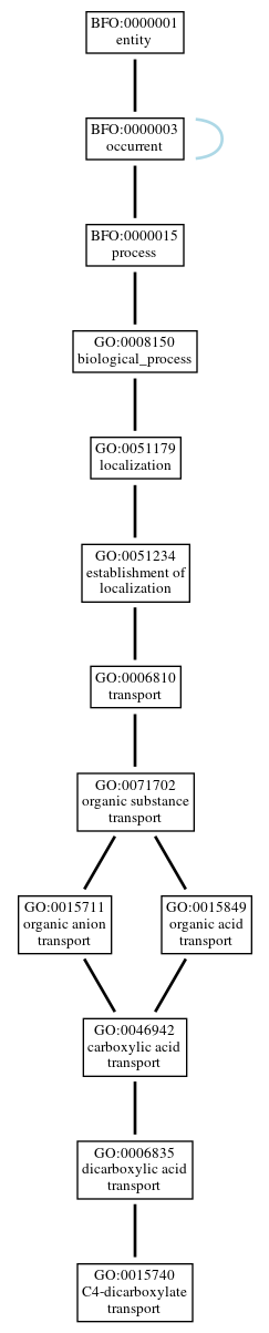 Graph of GO:0015740
