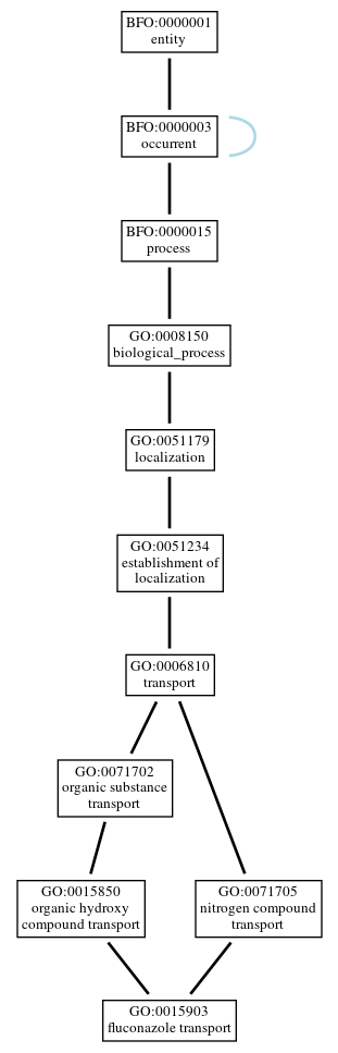 Graph of GO:0015903