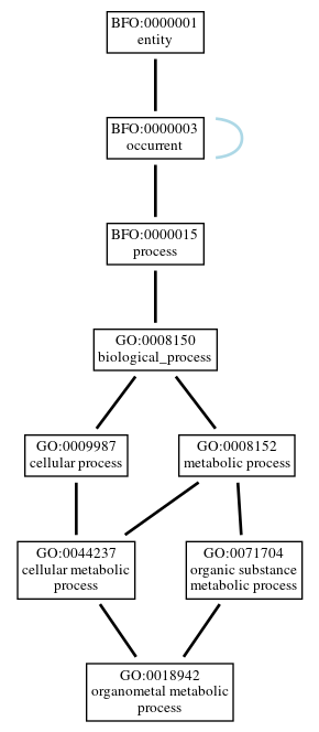 Graph of GO:0018942