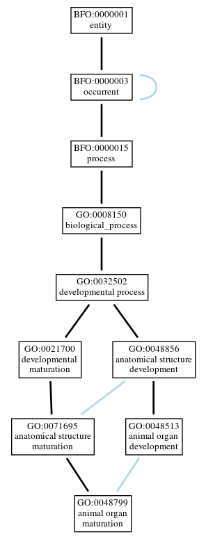 Graph of GO:0048799