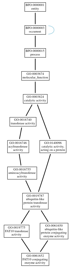 Graph of GO:0061652