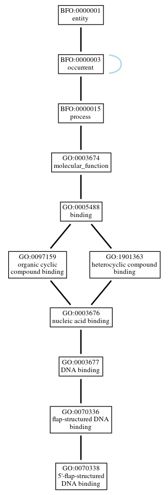 Graph of GO:0070338