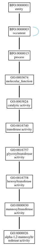 Graph of GO:0000026