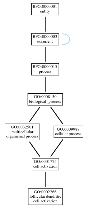 Graph of GO:0002266