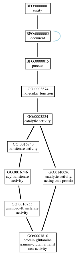 Graph of GO:0003810