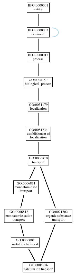 Graph of GO:0006816