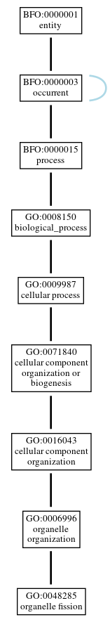 Graph of GO:0048285