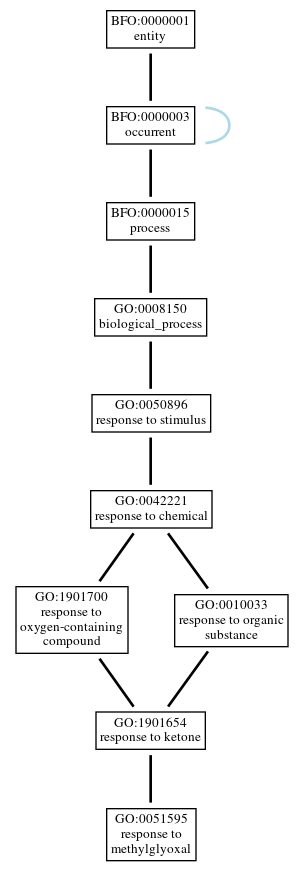 Graph of GO:0051595