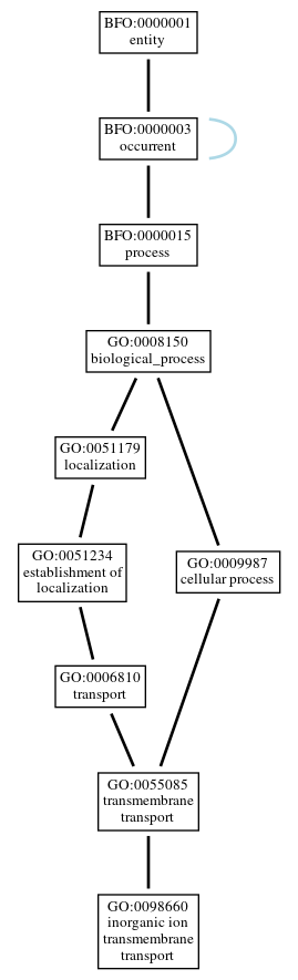 Graph of GO:0098660