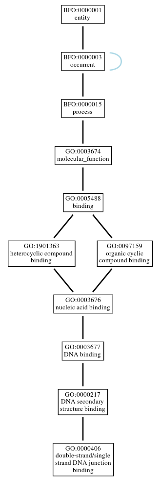 Graph of GO:0000406