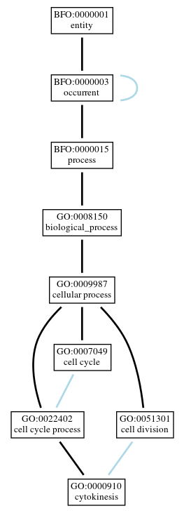 Graph of GO:0000910