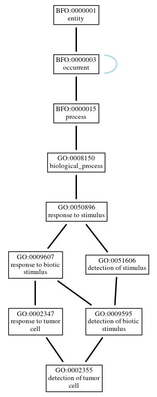 Graph of GO:0002355