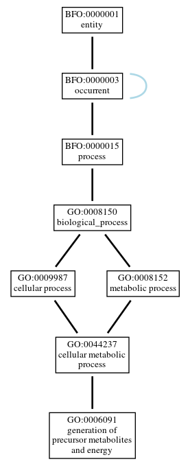 Graph of GO:0006091