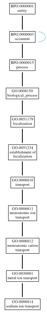 Graph of GO:0006814