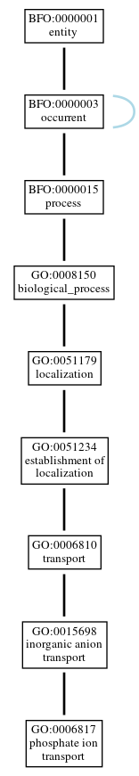 Graph of GO:0006817