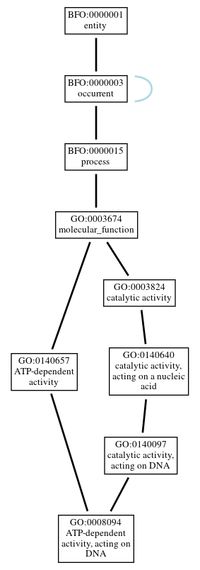 Graph of GO:0008094