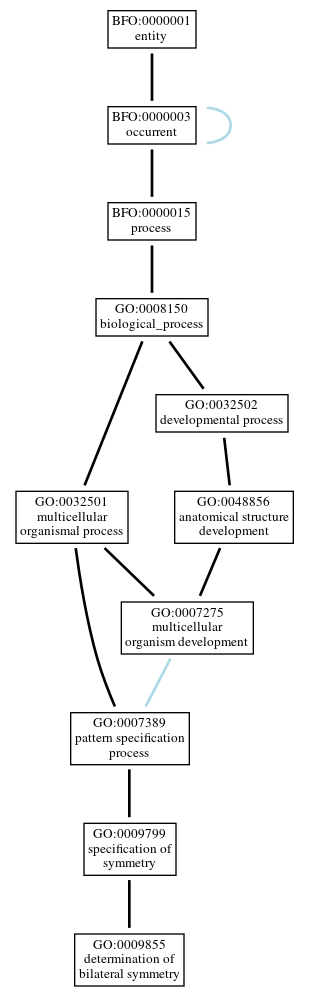 Graph of GO:0009855