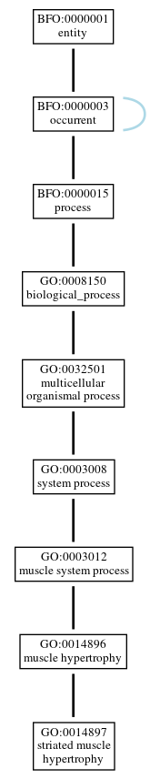 Graph of GO:0014897