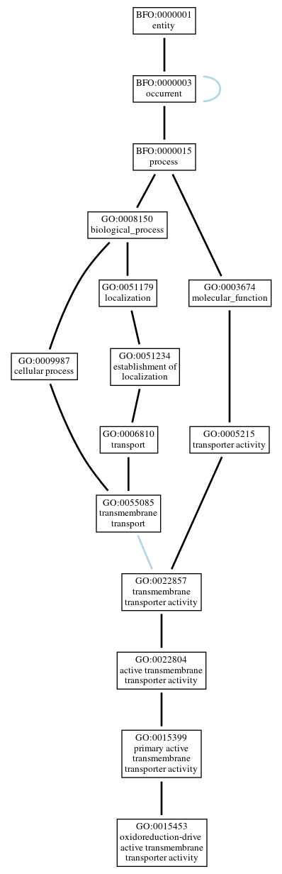 Graph of GO:0015453