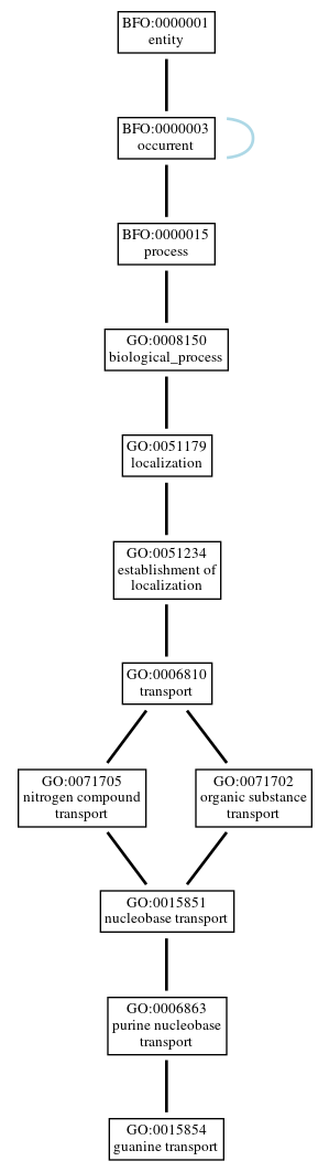 Graph of GO:0015854