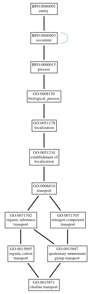 Graph of GO:0015871