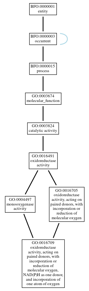 Graph of GO:0016709