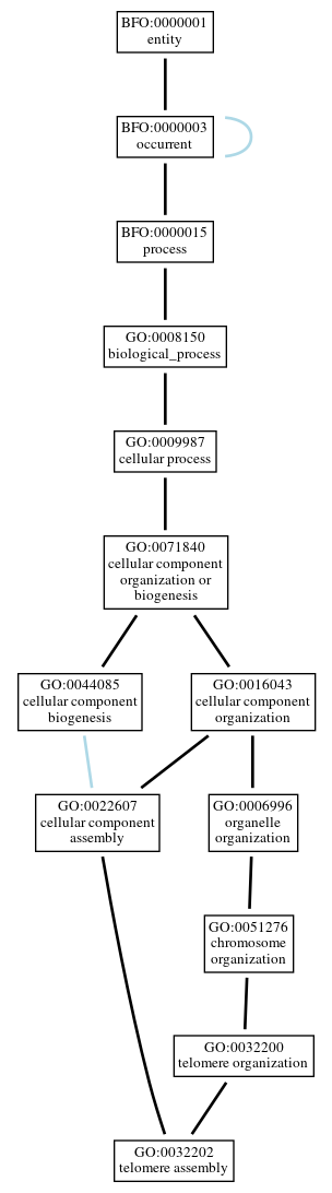 Graph of GO:0032202